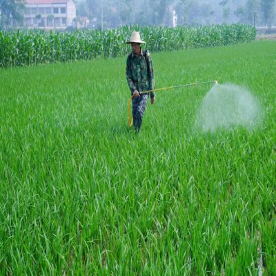 土壤農(nóng)藥污染與微生物修復技術